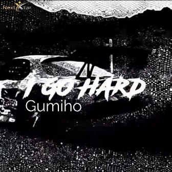 I Go Hard by Gumiho