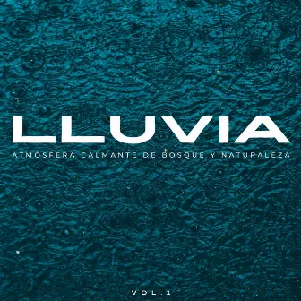 Lluvia: Atmósfera Calmante De Bosque Y Naturaleza Vol. 1 by Tesoros del bosque