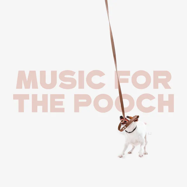 Music for the Pooch