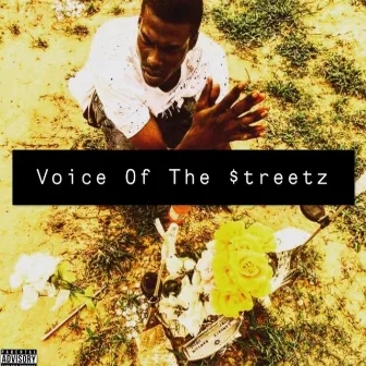 Voice of the Streets by Daleboy Darryl