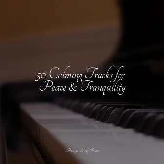 Calm Harmony - Piano Melodies by Piano Tranquil