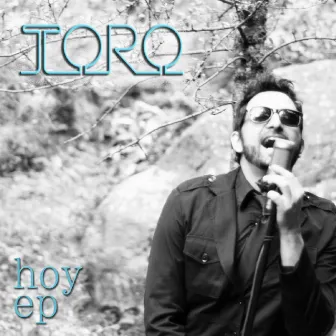 Hoy by Toro