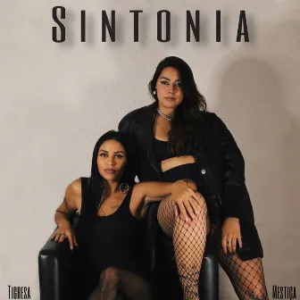 Sintonia by Tigresa