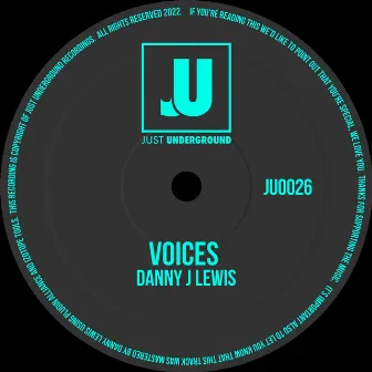 Voices by Danny J Lewis