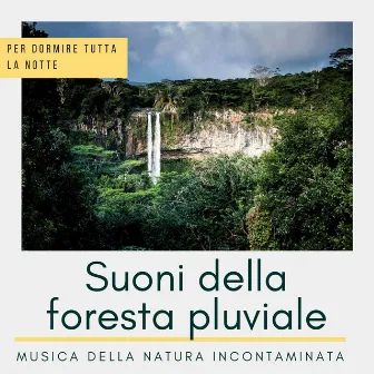 Suoni della foresta pluviale: Musica della natura incontaminata per dormire tutta la notte by Idrissa Silita