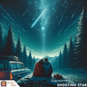 Shooting Star by Spacejamz