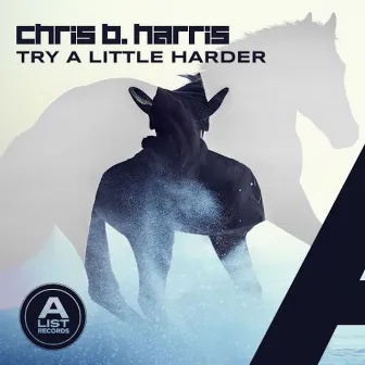 Try A Little Harder by Chris B. Harris