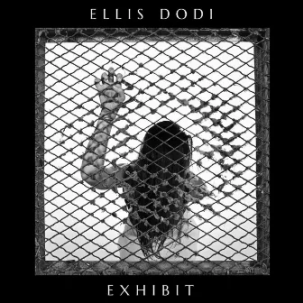 Exhibit by Ellis Dodi