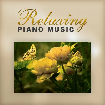 Relaxing Piano Music – Classical Instruments with Mozart and Bach, Classical Rest, Music After Work, Composers After Hours by Unknown Artist