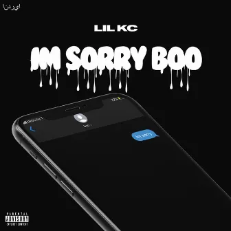 I'm Sorry Boo by Lil_kc