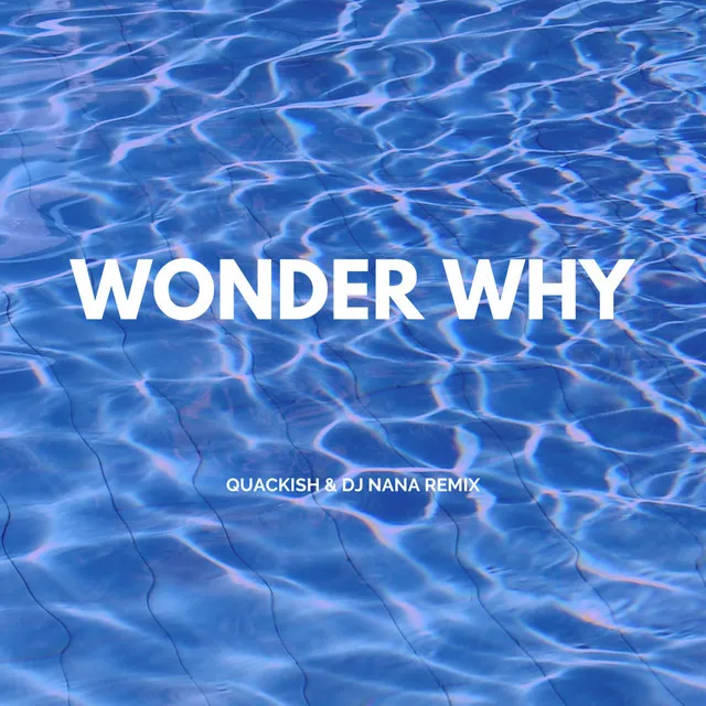 Wonder Why - Quackish & DJ Nana remix