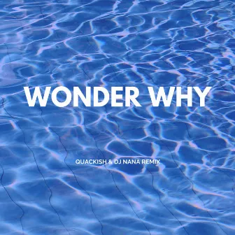 Wonder Why (Quackish & DJ Nana remix) by DJ Nana