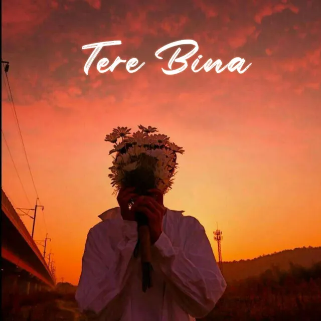 Tere Bina