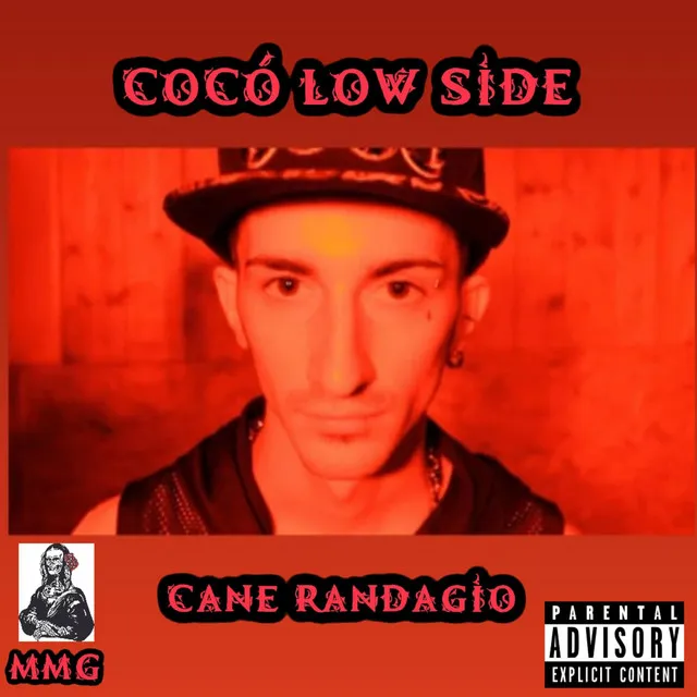 Cane randagio