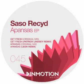 Apansas by Saso Recyd