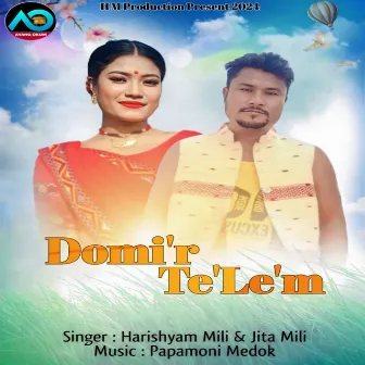 Domir Telem by 