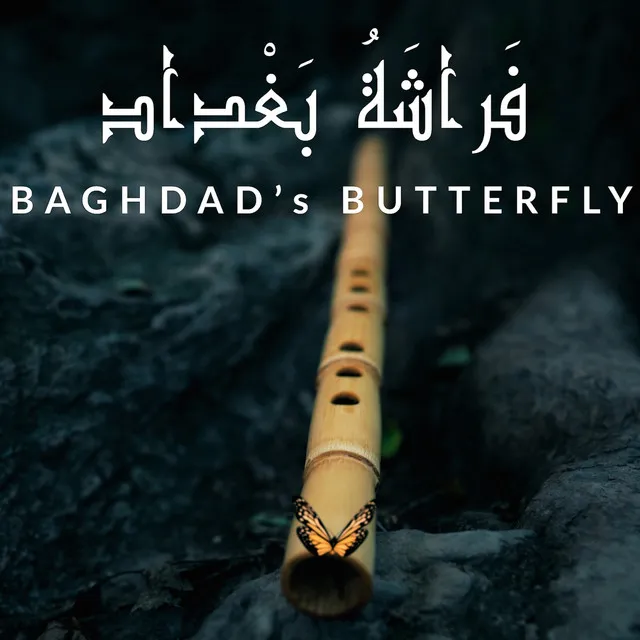 Baghdad's Butterfly