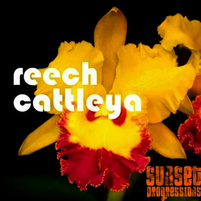 Cattleya - Original mix