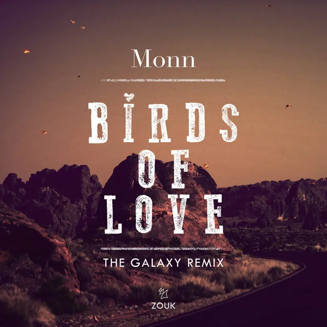 Birds Of Love (The Galaxy Remix)