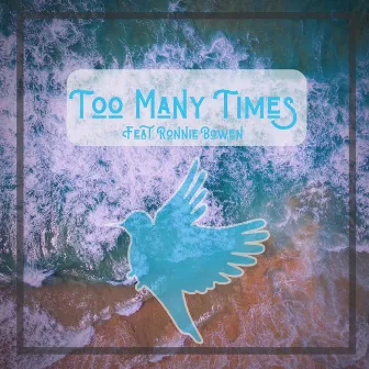 Too Many Times by Luna Shade