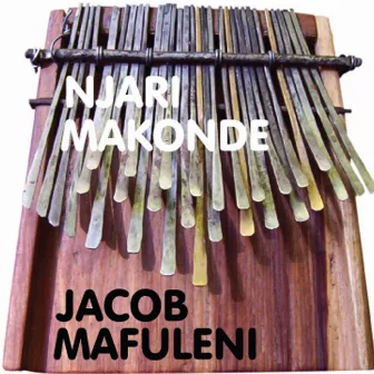 Njari Makonde by Jacob Mafuleni