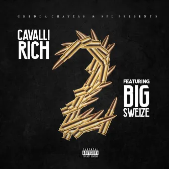 Two by Cavalli Rich