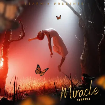 Miracle by searnix