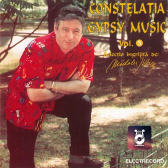 Constelația gypsy music, Vol. 5 by Ion Petre Stoican