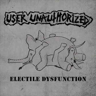 Electile Dysfunction by User Unauthorized