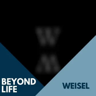 Beyond Life by Weisel