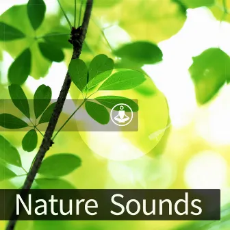 Nature Sounds by Satorio