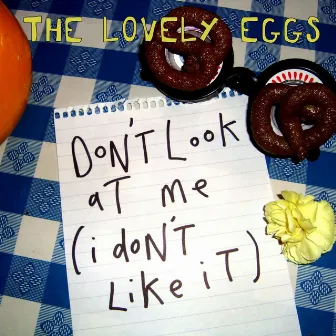 Don't Look At Me, I Don't Like It by The Lovely Eggs