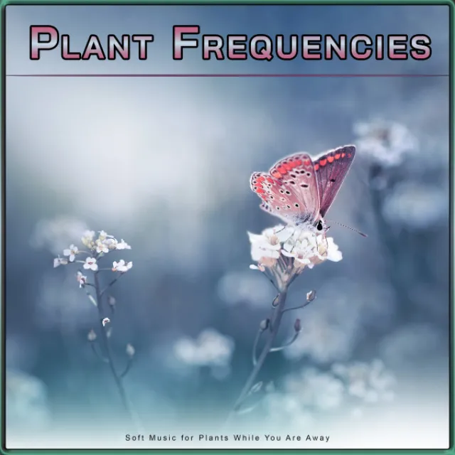 Plant Frequencies: Soft Music for Plants While You Are Away