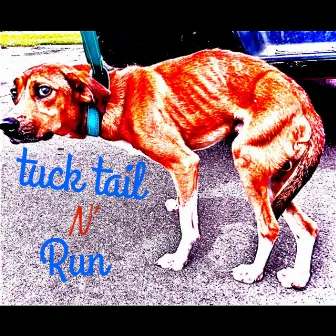 Tuck tail n' run by Social Angstiety