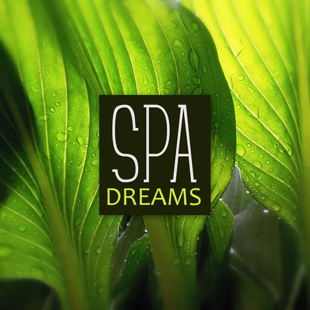 Spa Dreams - Music Relaxation, Deep Sounds, Gentle Massage, Stress Relief, Serenity Spa, Wellness, Gentle Background Music, Natural Spa, Luxury Spa