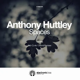 Spaces by Anthony Huttley