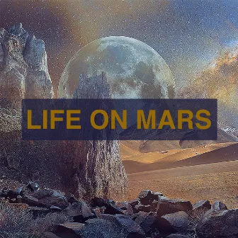 Life On Mars by The Style Siblings