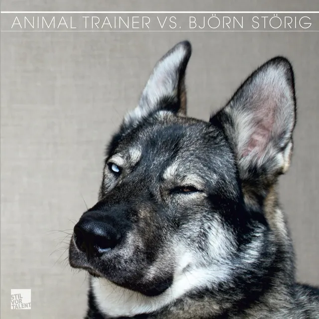 Animal Trainer vs. Björn Störig