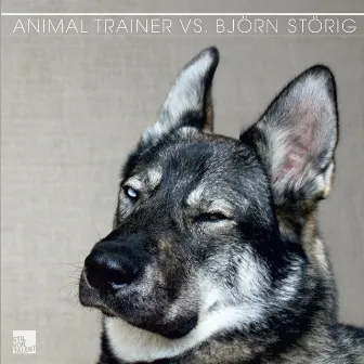 Animal Trainer vs. Björn Störig by Björn Störig