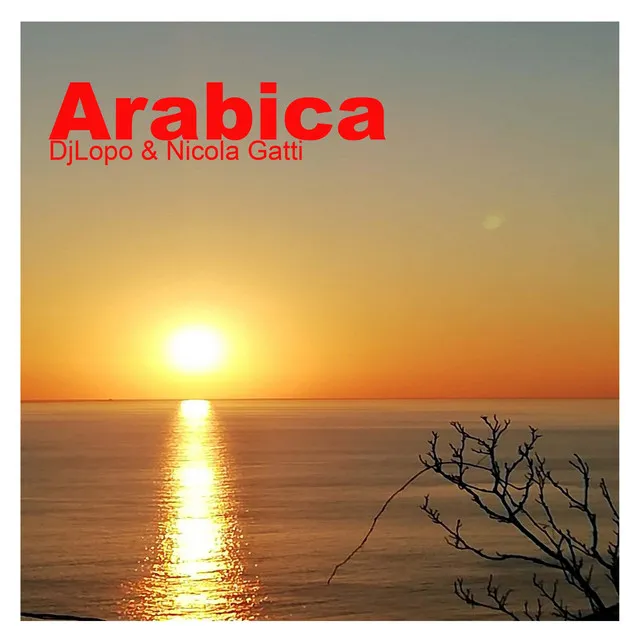 Arabica