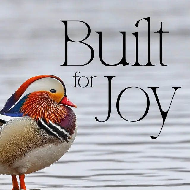 Built For Joy