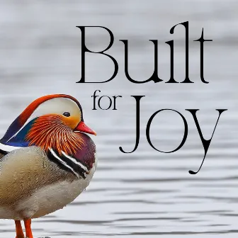 Built For Joy by Kennedy Kanagawa