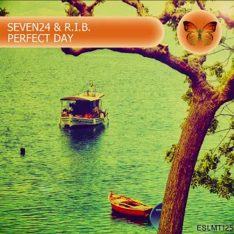 Perfect Day by Seven24