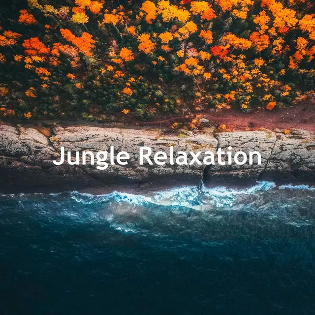 Jungle Relaxation