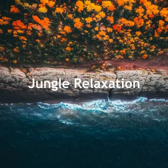 Jungle Relaxation by Nature Thunderstorm