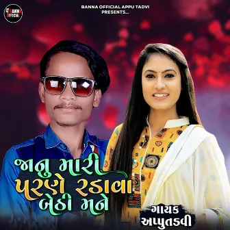 Jaanu Mari Parne Radava Bethi Mane by Appu Tadvi