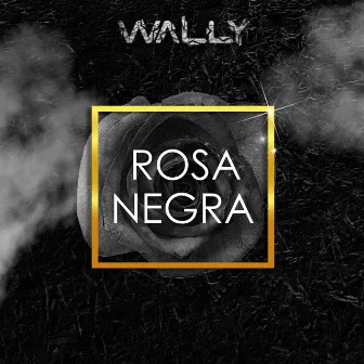 Rosa Negra by Wally