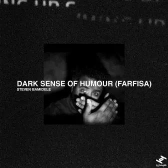 Dark Sense Of Humour (Farfisa) by Steven Bamidele