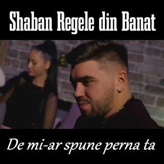 De mi-ar spune perna ta by Shaban Regele din Banat