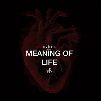 Meaning of Life by Hyder Official